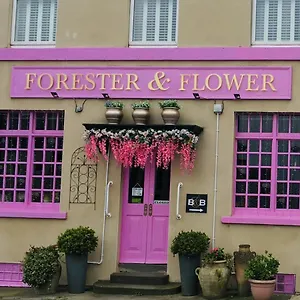 Guest house The Forester And Flower, Bath